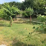 Casa vacanze Assisi Randr *