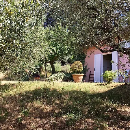 Assisi Randr *